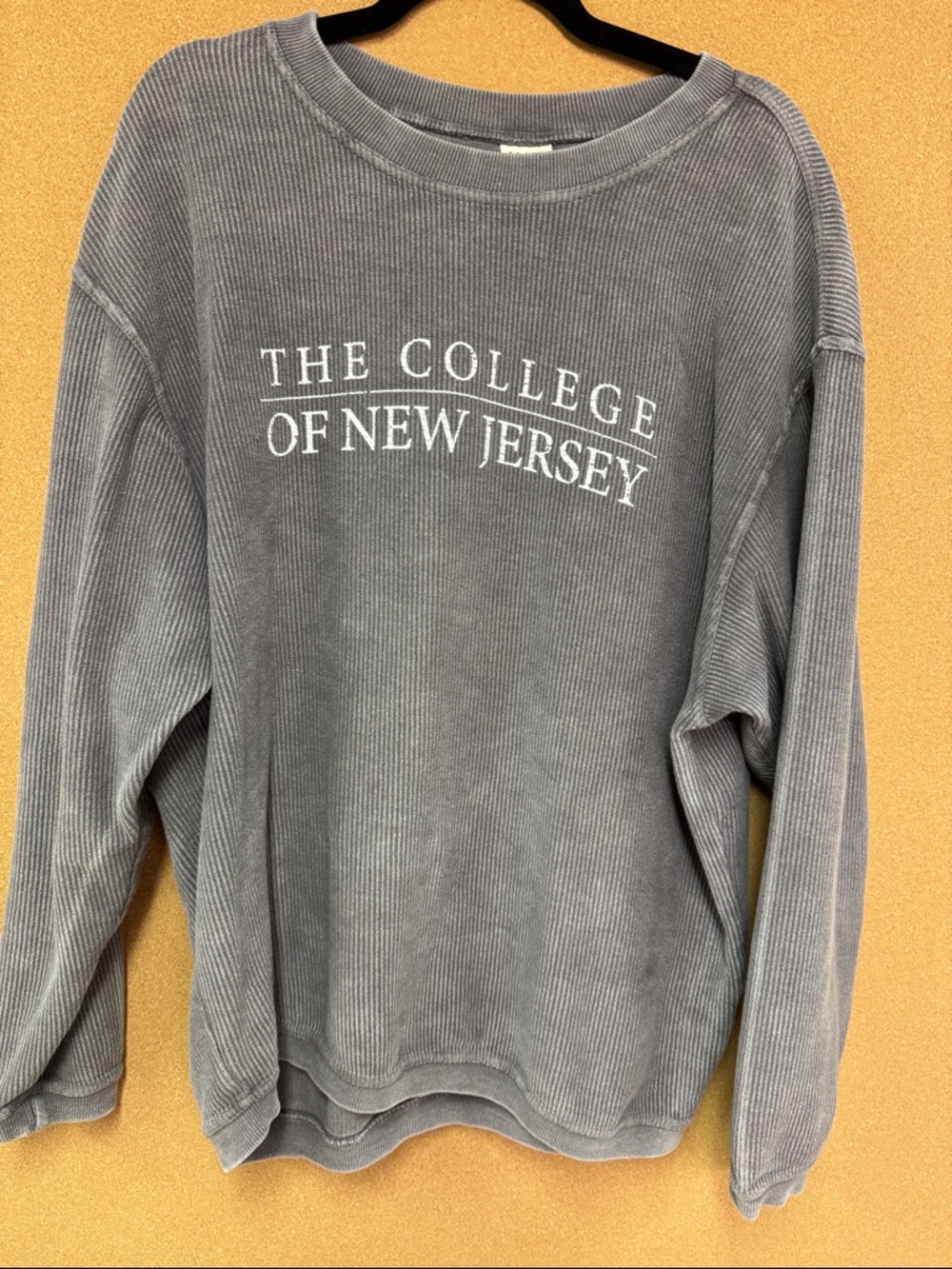The College of New Jersey Gray Ribbed Crewneck Sweatshirt - Large - comfy!